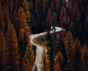 Preview wallpaper trees, autumn, road, aerial view, forest