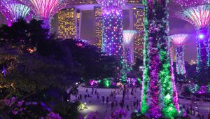Preview wallpaper trees, backlight, decoration, city, architecture