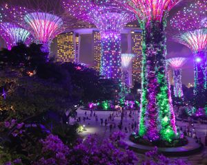 Preview wallpaper trees, backlight, decoration, city, architecture