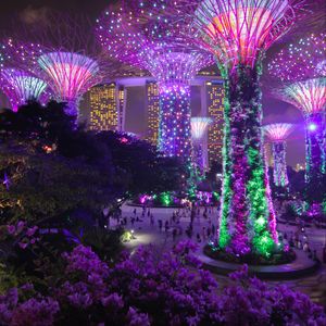 Preview wallpaper trees, backlight, decoration, city, architecture