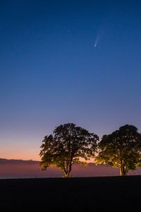 Preview wallpaper trees, backlight, field, twilight, landscape