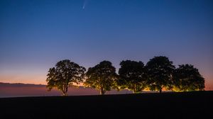Preview wallpaper trees, backlight, field, twilight, landscape