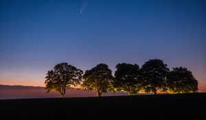 Preview wallpaper trees, backlight, field, twilight, landscape