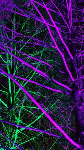 Preview wallpaper trees, backlight, neon, purple, green