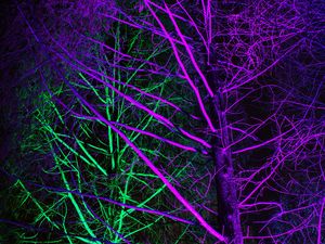 Preview wallpaper trees, backlight, neon, purple, green