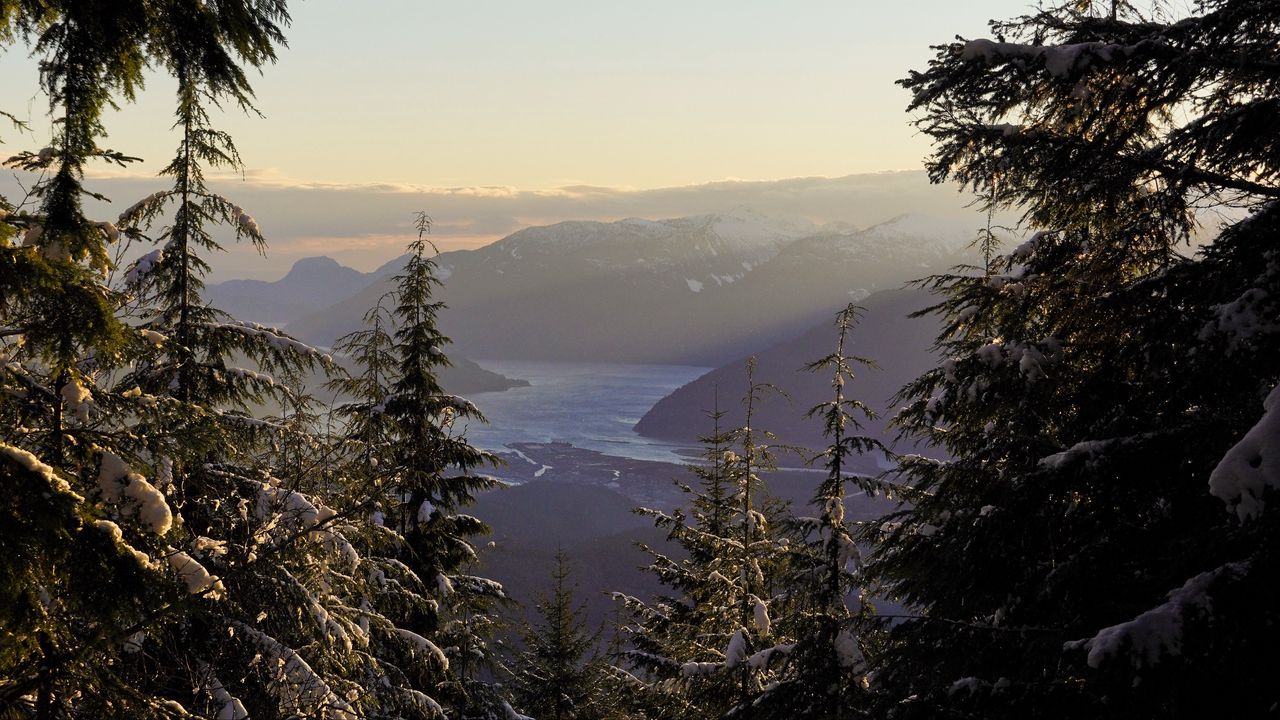 Wallpaper trees, bay, mountains, nature