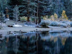 Preview wallpaper trees, beach, forest, table, river, lake