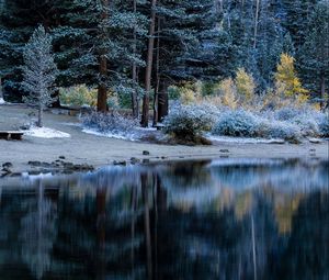 Preview wallpaper trees, beach, forest, table, river, lake