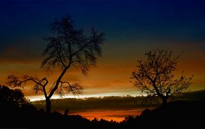 Preview wallpaper trees, bends, outlines, branches, decline, orange, height, sky, clouds, twilight, evening