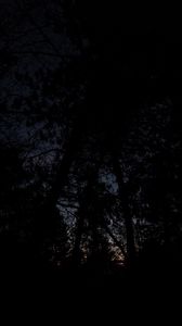Preview wallpaper trees, branches, dark, night, gloomy