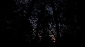Preview wallpaper trees, branches, dark, night, gloomy