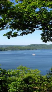 Preview wallpaper trees, branches, islands, coasts, yacht, sea