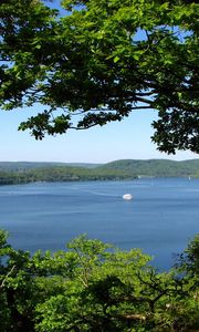 Preview wallpaper trees, branches, islands, coasts, yacht, sea