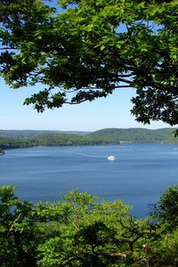 Preview wallpaper trees, branches, islands, coasts, yacht, sea