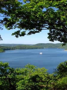 Preview wallpaper trees, branches, islands, coasts, yacht, sea