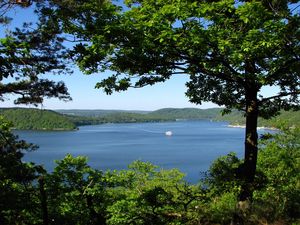 Preview wallpaper trees, branches, islands, coasts, yacht, sea