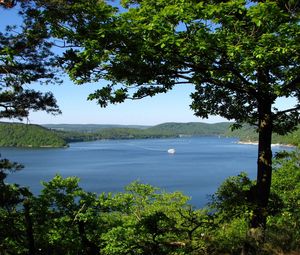 Preview wallpaper trees, branches, islands, coasts, yacht, sea