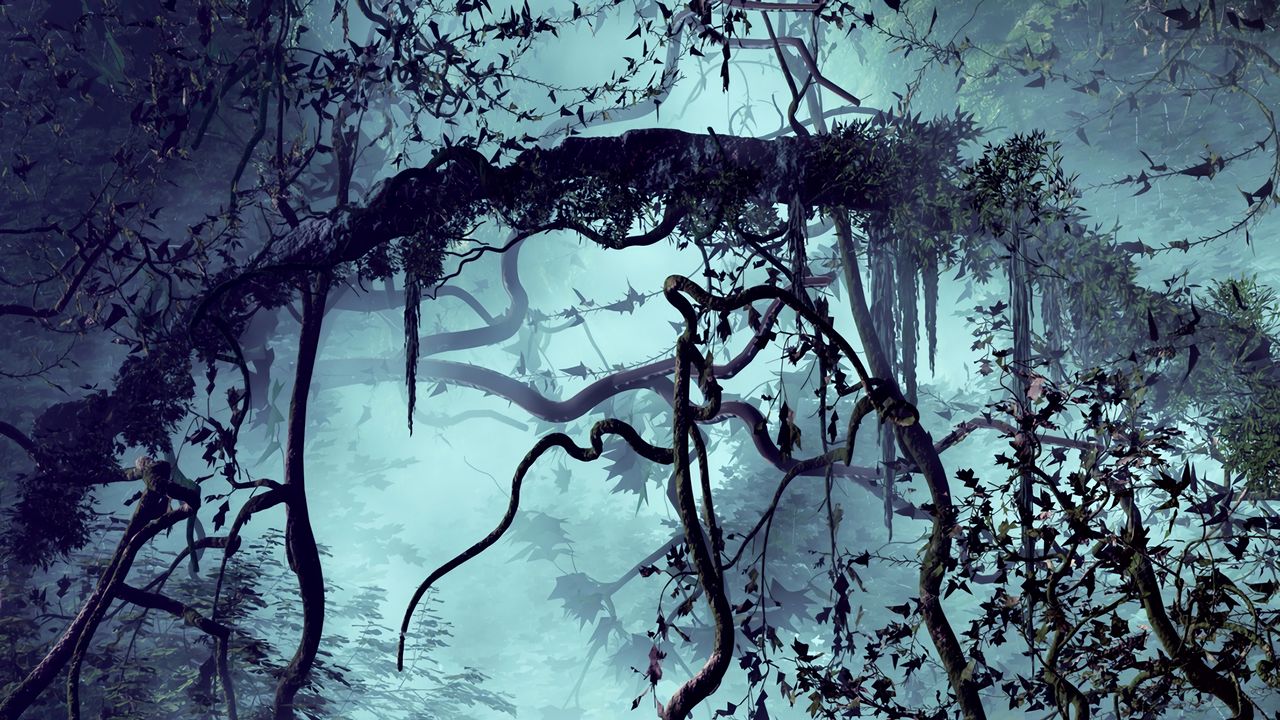 Wallpaper trees, branches, jungle, fog