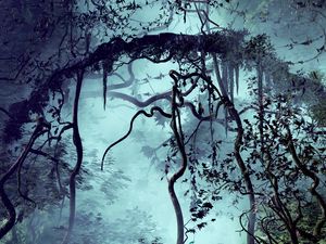 Preview wallpaper trees, branches, jungle, fog