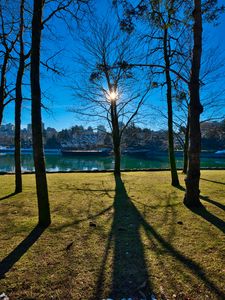 Preview wallpaper trees, branches, lake, sun, light, nature