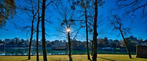 Preview wallpaper trees, branches, lake, sun, light, nature