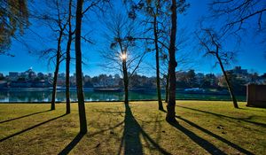 Preview wallpaper trees, branches, lake, sun, light, nature