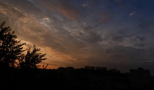 Preview wallpaper trees, branches, leaves, silhouettes, evening