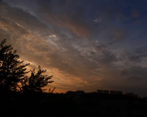 Preview wallpaper trees, branches, leaves, silhouettes, evening