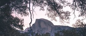 Preview wallpaper trees, branches, mountain, yosemite valley, usa