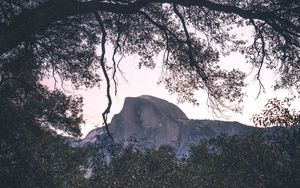 Preview wallpaper trees, branches, mountain, yosemite valley, usa