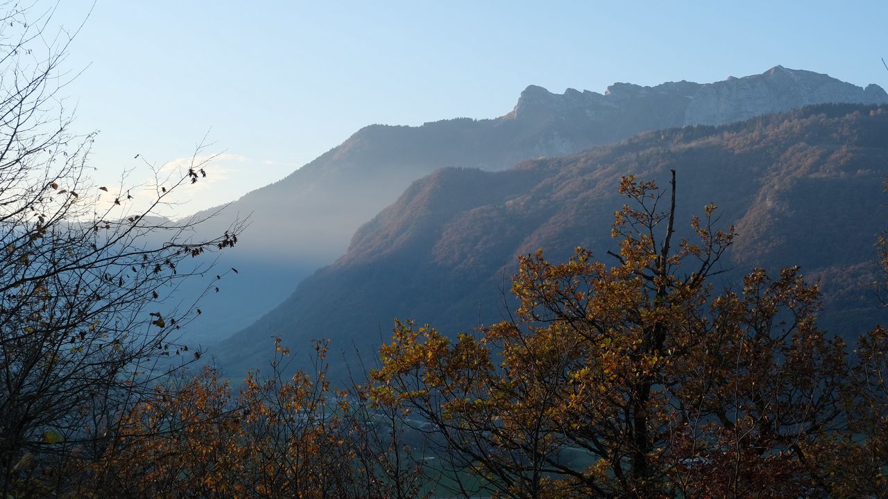 Wallpaper trees, branches, mountains, nature