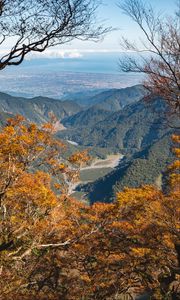 Preview wallpaper trees, branches, mountains, autumn, view