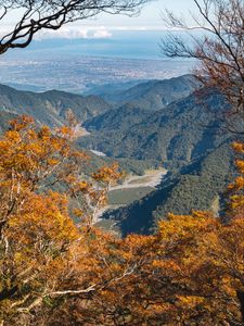 Preview wallpaper trees, branches, mountains, autumn, view