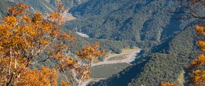 Preview wallpaper trees, branches, mountains, autumn, view