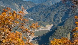 Preview wallpaper trees, branches, mountains, autumn, view