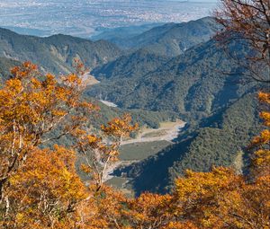 Preview wallpaper trees, branches, mountains, autumn, view