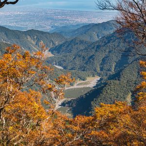 Preview wallpaper trees, branches, mountains, autumn, view