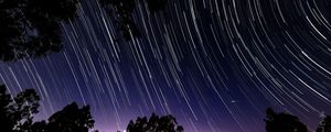 Preview wallpaper trees, branches, night, starfall, starry sky