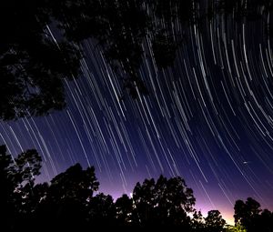 Preview wallpaper trees, branches, night, starfall, starry sky