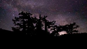 Preview wallpaper trees, branches, night, stars, starry sky