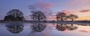 Preview wallpaper trees, branches, reflection, pond, silhouettes, evening