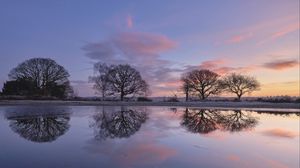 Preview wallpaper trees, branches, reflection, pond, silhouettes, evening