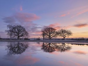 Preview wallpaper trees, branches, reflection, pond, silhouettes, evening