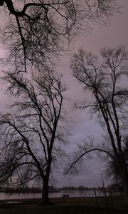 Preview wallpaper trees, branches, river, bench, evening