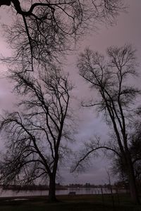 Preview wallpaper trees, branches, river, bench, evening