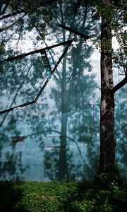 Preview wallpaper trees, branches, shadows, grass, nature
