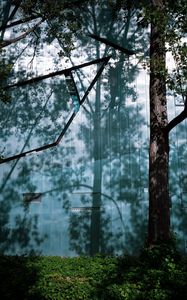 Preview wallpaper trees, branches, shadows, grass, nature