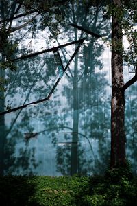 Preview wallpaper trees, branches, shadows, grass, nature