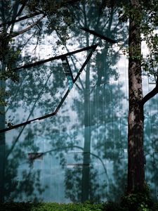 Preview wallpaper trees, branches, shadows, grass, nature