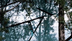 Preview wallpaper trees, branches, shadows, grass, nature